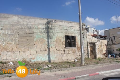 kaniswa7akhadra2 (1).JPG